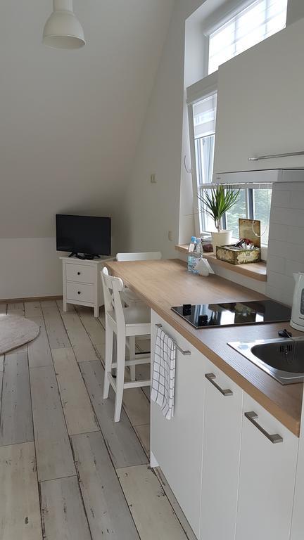 Inga Vacation House Druskininkai Exteriör bild